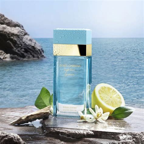 dolce gabbana light blue woman parfum